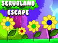 Spill Scrubland Escape online