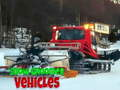 Spill Snow Groomer kjøretøy  online