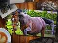 Spill Jigsaw Puzzle Horses Edition online