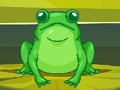 Spill Frog Match Master online