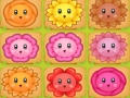 Spill Blomst meg online