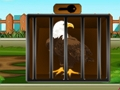 Spill Redd Bald Eagle  online
