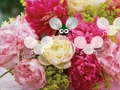 Spill Ganske Blossom Wallpaper Escape online