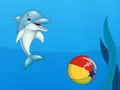 Spill Delfinshow  online