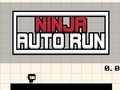 Spill Ninja Auto Run online