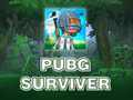 Spill PUBG Survivor  online