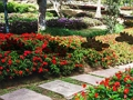 Spill Leaf Farm Garden Escape online