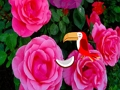 Spill Precious Rose Escape online
