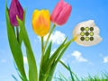 Spill Blomsterplen flukt online