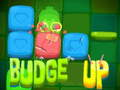 Spill Budge opp online