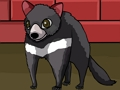 Spill Forest Tasmanian Devil Rescue online