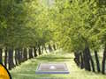 Spill Par Cat Escape  online