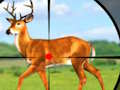 Spill Wild Hunt Hunting Games 3D online