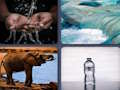 Spill Ordbildegjetter  online