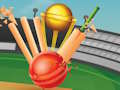 Spill T20 cricket online