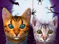 Spill CAT -simulator online online