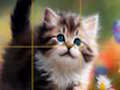 Spill Puslespill glidende kattunger  online