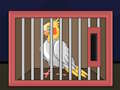 Spill Slipp The Cockatiel Bird  online