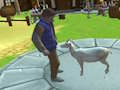 Spill Gal geitesimulator online
