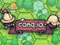 Spill Conq. io  online