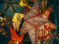 Spill Julestjerner Jigsaw online