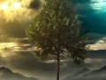 Spill Illusion Jungle Fairy Escape online