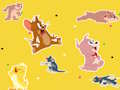 Spill Tom og Jerry Show Finn det!  online