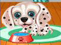 Spill Min valpebarnehagesalong  online