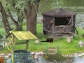 Spill Mystery Lake Escape online