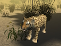 Spill Jaktsimulator for afrikansk gepard  online