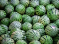 Spill Vannmelonstikksag  online