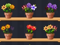 Spill God blomstermester  online