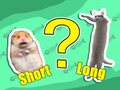 Spill Kids Quiz: Korteste og lengste  online