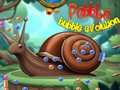 Spill Pebble Bubble Evolution online