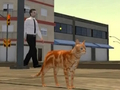 Spill Cat City Simulator online