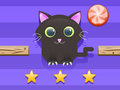 Spill Cat Challenge online
