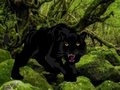 Spill Flukt fra Black Panther Forest  online