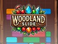 Spill Woodland Slide online