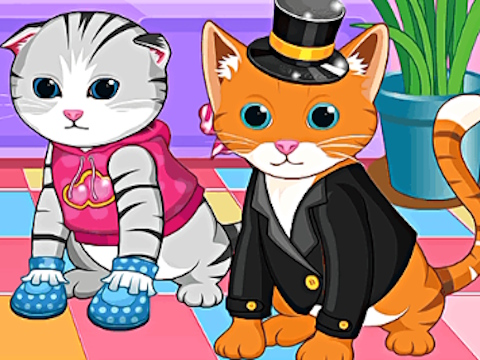 Spill Baby Pet Sitter online