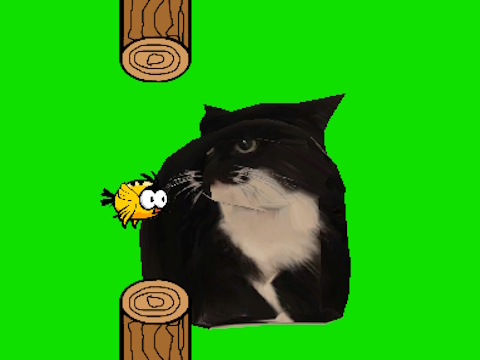 Spill Flappy fugl spinning oia oia cat  online