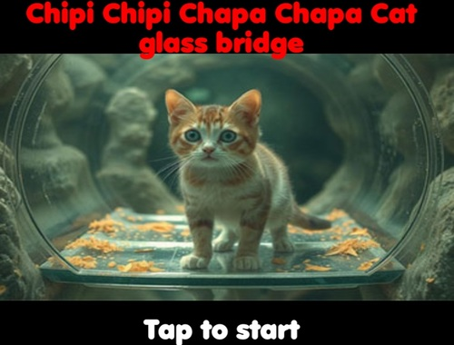 Spill Chipi Chipi Chapa Chapa Cat Glass Bridge  online