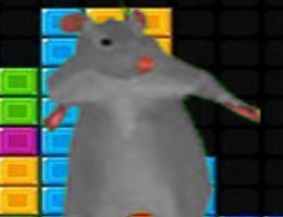 Spill Ratomilton fallende blokker  online