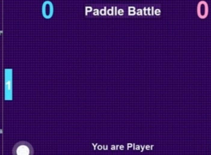 Spill Paddle Battle  online