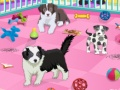 Spill Puppy Pet Care  online