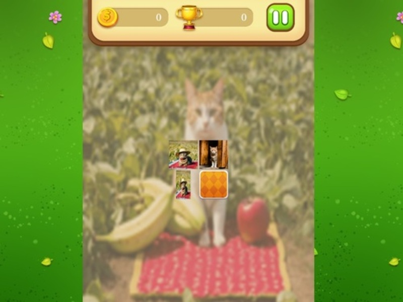 Spill Farm Cat Memory Match online