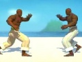 Spill Capoeira fighter  online