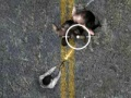 Spill Undead motorvei online