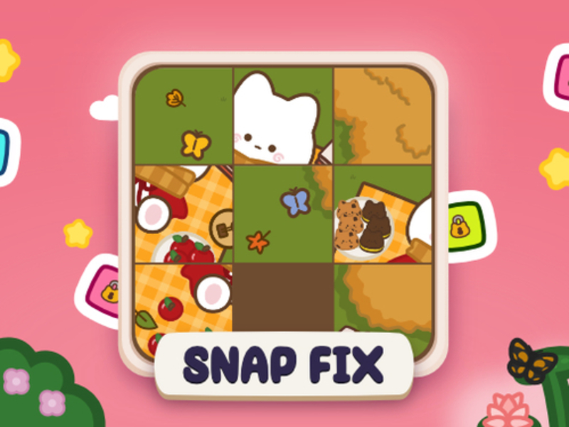 Spill Snap Fix online