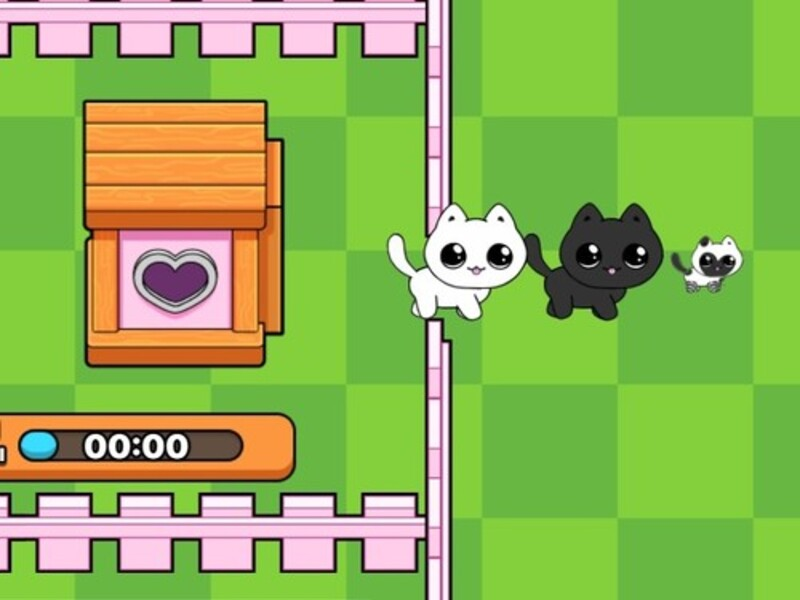 Spill Kattungene mine. Catworld online
