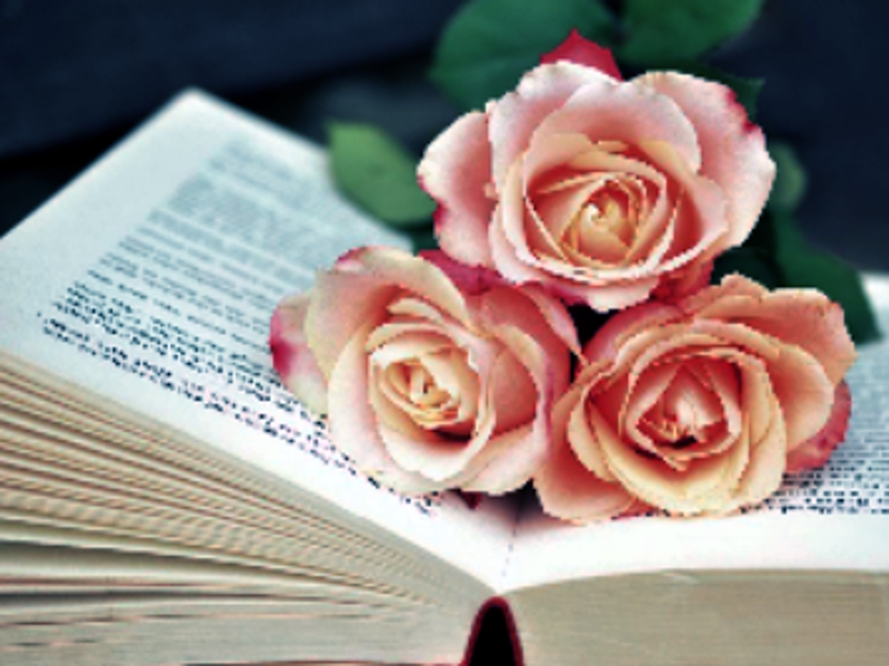 Spill Book of Blooms Jigsaw online
